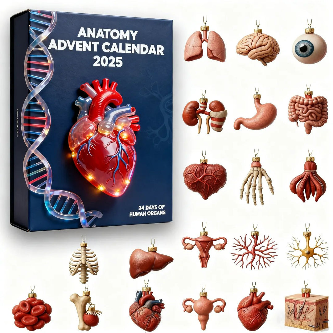2025 Anatomical Advent Calendar